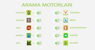 arama motorları