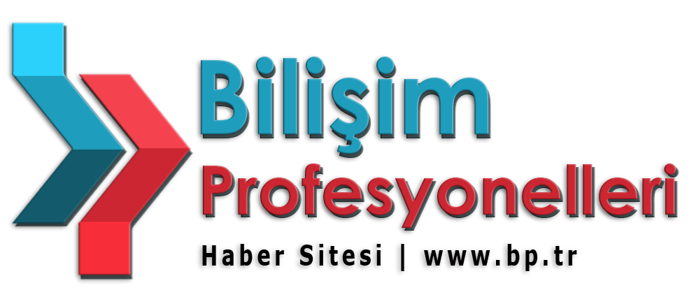 Bilişim Profesyonelleri