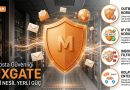Yerli E-Posta Güvenliğinde Yeni Dönem: MXGate